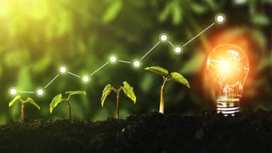 Green Tech & Carbon Innovation Industry